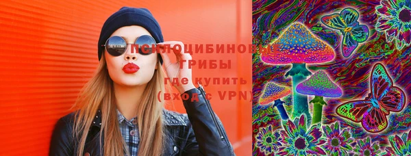 бутират Гусев