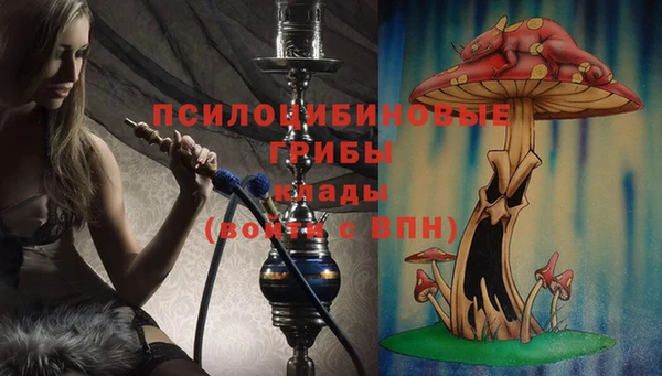 мескалин Гусиноозёрск